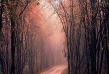 6686体育官网：韦世豪：上场后对球队进攻多少有点帮助 希望国安越来越好.