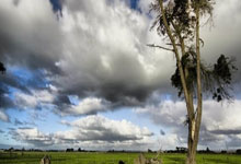 詹俊：枪手中场梅里诺身价不应出现在跌幅榜，应在涨幅榜的.