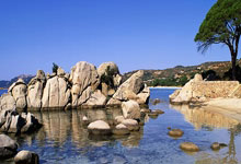 6686体育官网：索默：当我们保持这种状态的时候，对手就很难战胜我们.